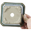Square ocean green bonsai pot by Tosui - 110 x 110 x 70 mm