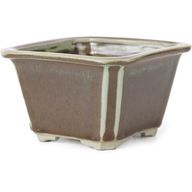 Vaso bonsai quadrato marrone di Tosui - 110 x 110 x 70 mm