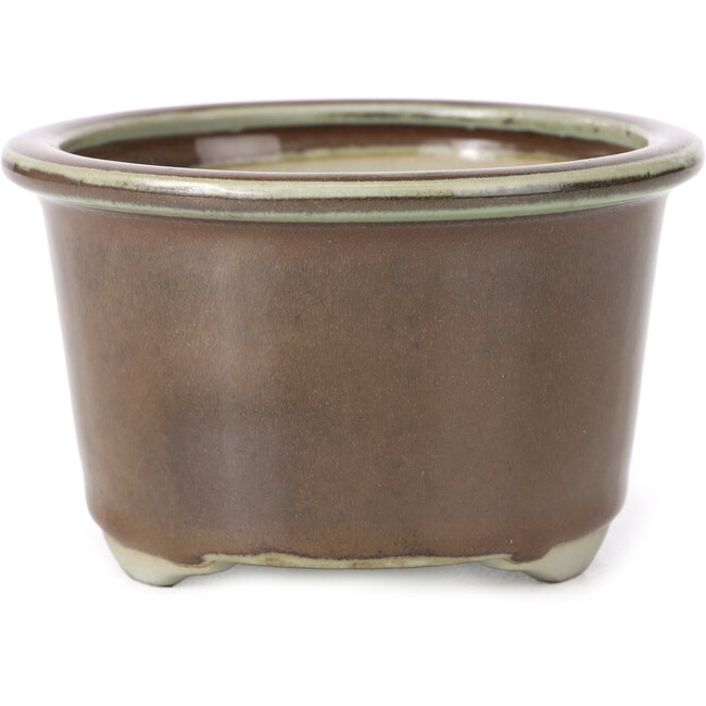 Maceta de bonsái marrón redonda de Tosui - 113 x 113 x 72 mm