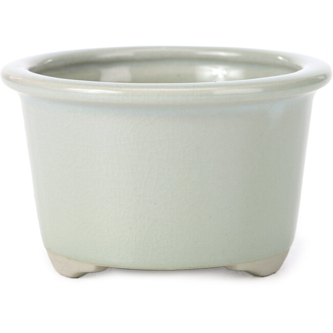 Pot à bonsaï rond bleu pâle à pois noirs et craquelé par Tosui - 113 x 113 x 72 mm