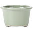 Ronde bleke celadon craquelé bonsai pot van Tosui - 113 x 113 x 72 mm