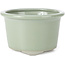 Ronde bleke celadon craquelé bonsai pot van Tosui - 113 x 113 x 72 mm