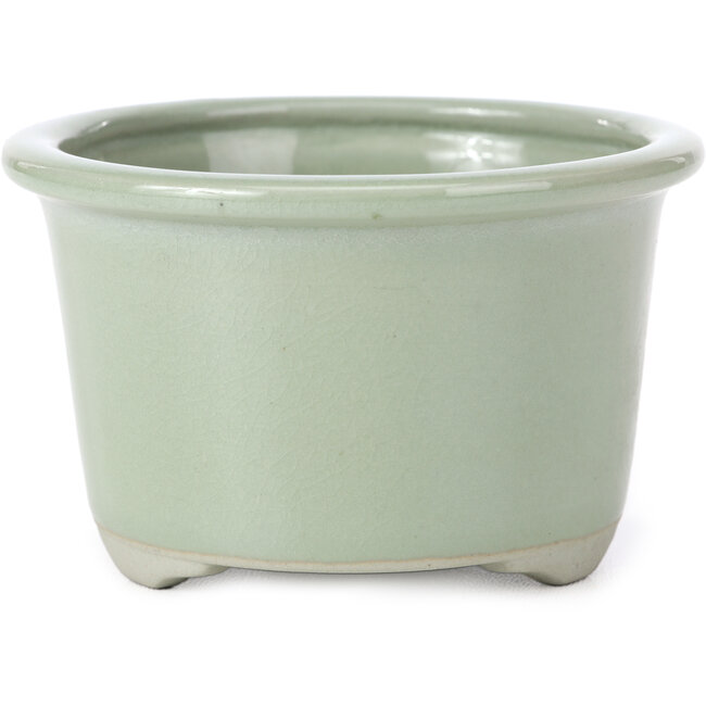Maceta redonda de bonsái craquelé celadón pálido de Tosui - 113 x 113 x 72 mm