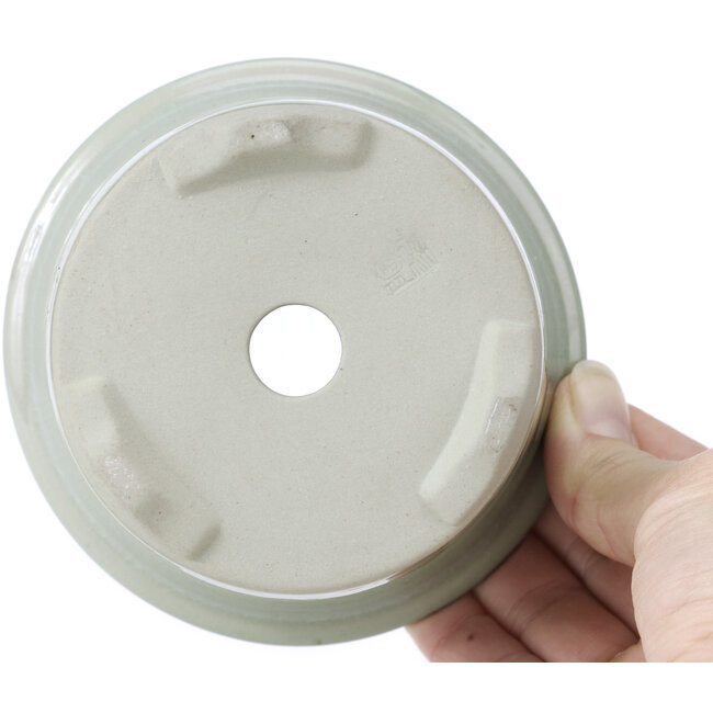 Maceta redonda de bonsái craquelé celadón pálido de Tosui - 113 x 113 x 72 mm