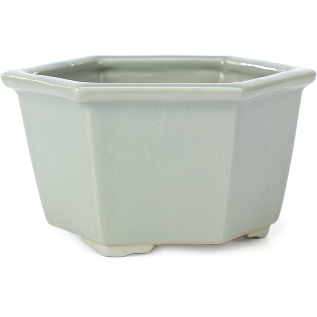 Vaso bonsai esagonale azzurro con craquelé di Tosui - 125 x 106 x 68 mm