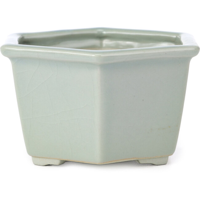 Hexagonal pale blue with craquelé bonsai pot by Tosui - 125 x 106 x 68 mm