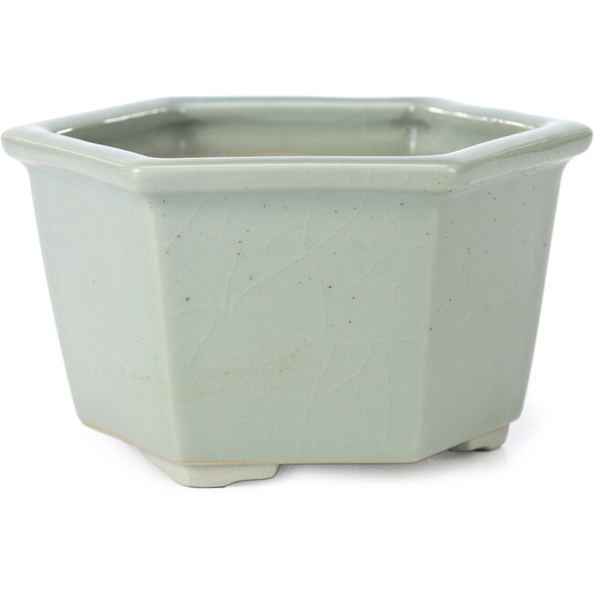 Maceta de bonsái hexagonal azul pálido con craquelé de Tosui - 125 x 106 x 68 mm
