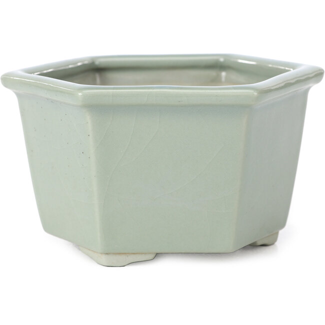 Pot à bonsaï hexagonal bleu pâle craquelé par Tosui - 125 x 106 x 68 mm