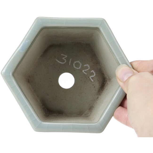 Pot à bonsaï hexagonal bleu pâle craquelé par Tosui - 125 x 106 x 68 mm