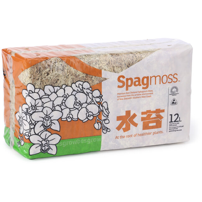 Mousse de spagnum 150 gr.