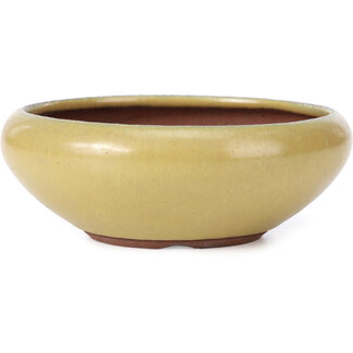  Eimei ( Yozan kiln) Pot à bonsaï rond jaune 128 mm par Yozan, Tokoname, Japon