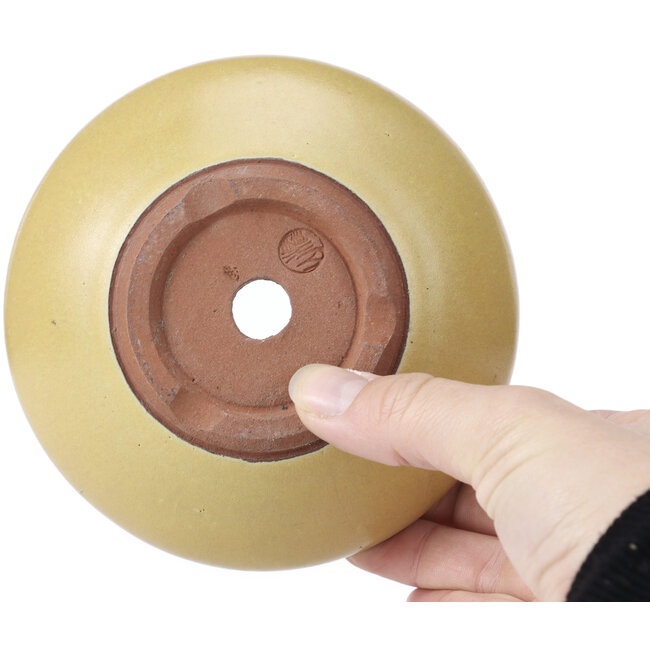 Ronde gele bonsaipot van Yozan - 128 x 128 x 47 mm