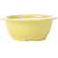 Round yellow bonsai pot by Koyou - 137 x 137 x 53 mm