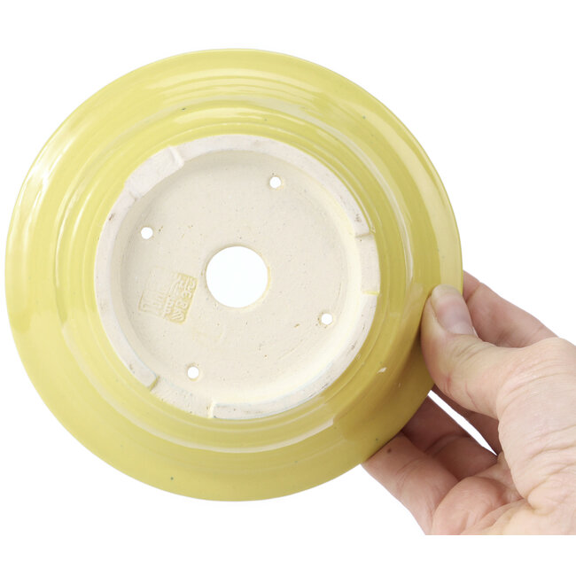 Vaso bonsai rotondo giallo di Koyou - 137 x 137 x 53 mm