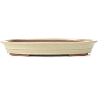  Reihou (Bonsai Matsushita Hiroyuki or Mr.MATSUSHITA Reiji    Master) 281 mm oval beige to yellow bonsai pot by Reiho, Tokoname, Japan