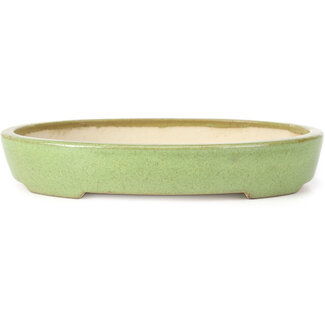 Koyo - Koichirou Aiba  205 mm oval green bonsai pot by Koyou, Tokoname, Japan