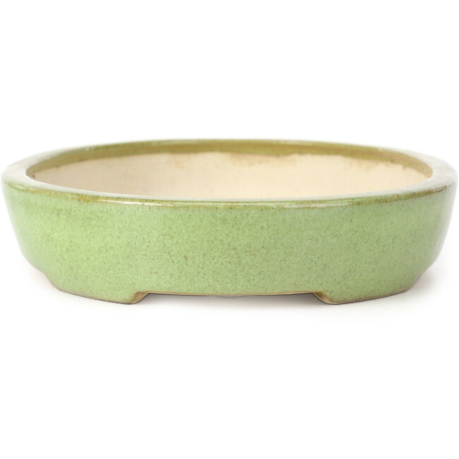 Ovale groene bonsai pot van Koyou - 205 x 160 x 38 mm