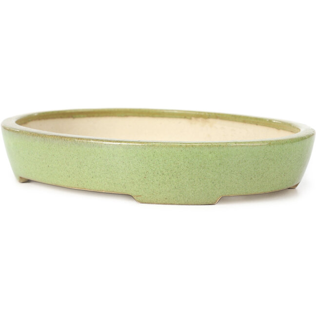 Maceta de bonsái verde ovalada de Koyou - 205 x 160 x 38 mm