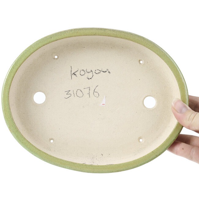 Maceta de bonsái verde ovalada de Koyou - 205 x 160 x 38 mm