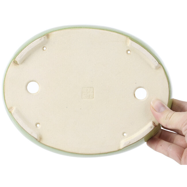 Maceta de bonsái verde ovalada de Koyou - 205 x 160 x 38 mm