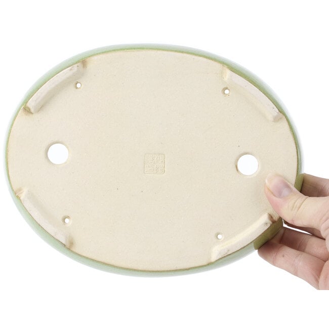 Vaso bonsai ovale verde di Koyou - 205 x 160 x 38 mm