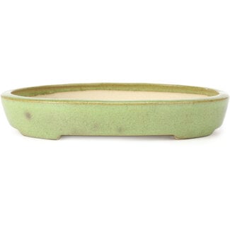 Koyo - Koichirou Aiba  204 mm oval green bonsai pot by Koyou, Tokoname, Japan