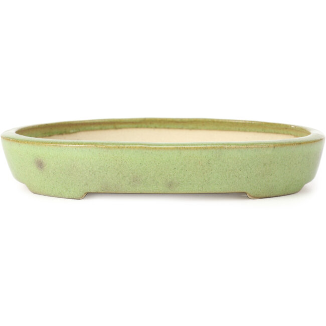 Oval green bonsai pot by Koyou - 204 x 160 x 37 mm