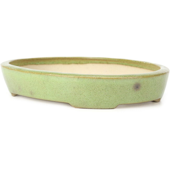 Ovale grüne Bonsaischale von Koyou - 204 x 160 x 37 mm