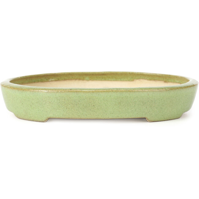 Oval green bonsai pot by Koyou - 204 x 160 x 37 mm