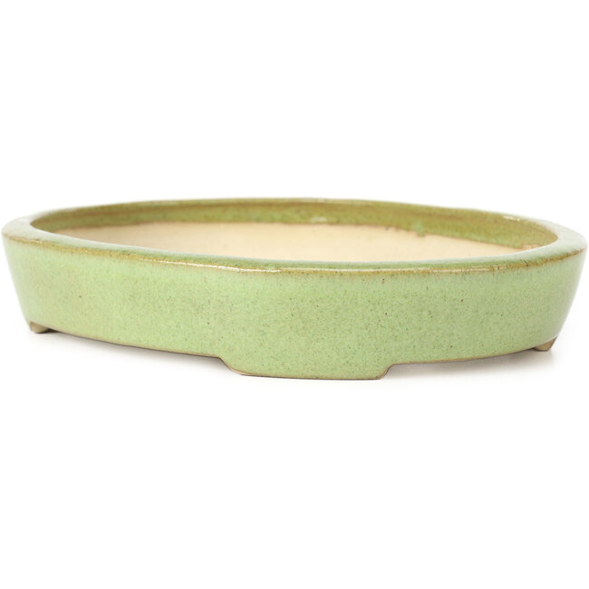 Vaso bonsai ovale verde di Koyou - 204 x 160 x 37 mm