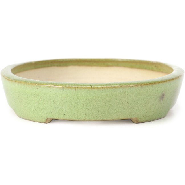 Vaso bonsai ovale verde di Koyou - 204 x 160 x 37 mm