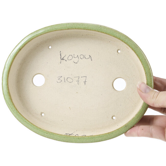 Maceta de bonsái verde ovalada de Koyou - 204 x 160 x 37 mm