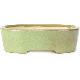 Koyo - Koichirou Aiba  182 mm oval green bonsai pot by Koyou, Tokoname, Japan