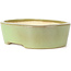 Ovale groene bonsai pot van Koyou - 182 x 144 x 55 mm