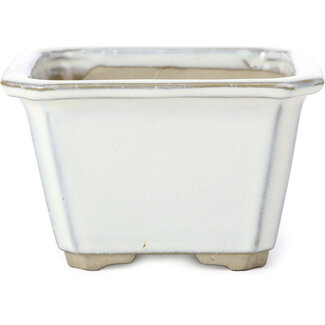  Tosui 110 mm square white bonsai pot by Tosui, Japan