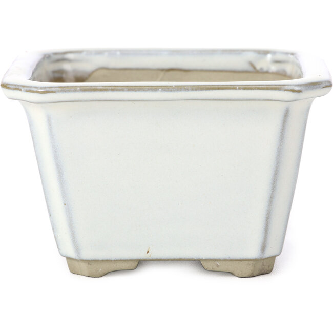 Pot à bonsaï carré blanc par Tosui - 110 x 110 x 70 mm