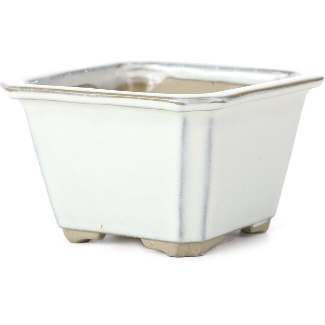 Quadratische weiße Bonsaischale von Tosui - 110 x 110 x 70 mm