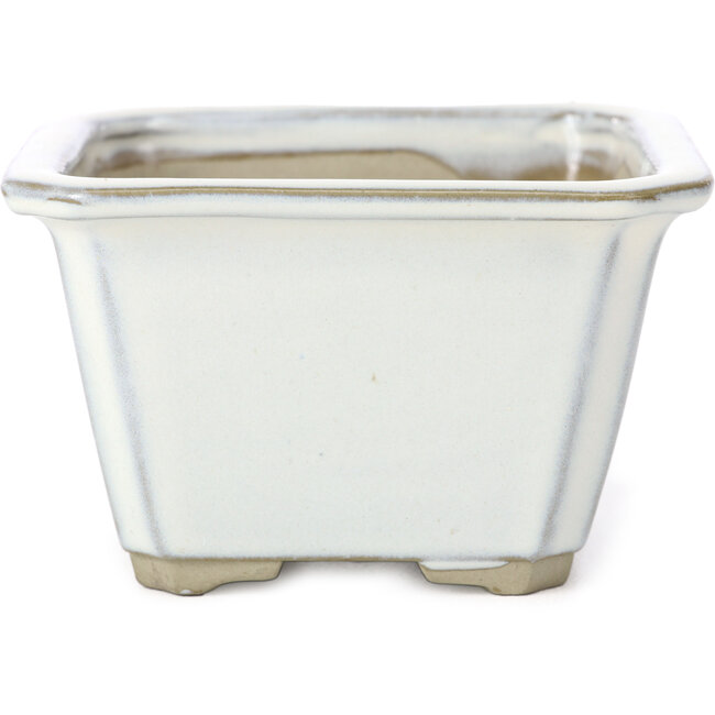 Vierkante witte bonsaipot van Tosui - 110 x 110 x 70 mm