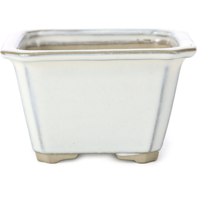 Quadratische weiße Bonsaischale von Tosui - 110 x 110 x 70 mm