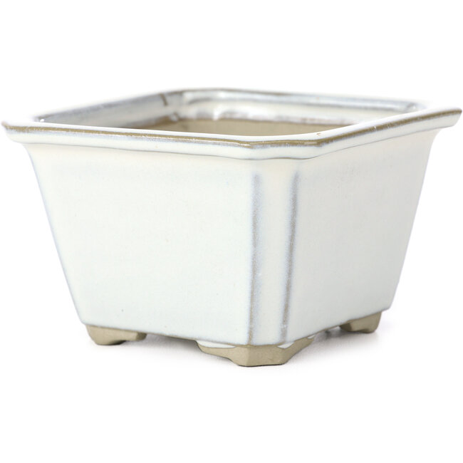 Pot à bonsaï carré blanc par Tosui - 110 x 110 x 70 mm