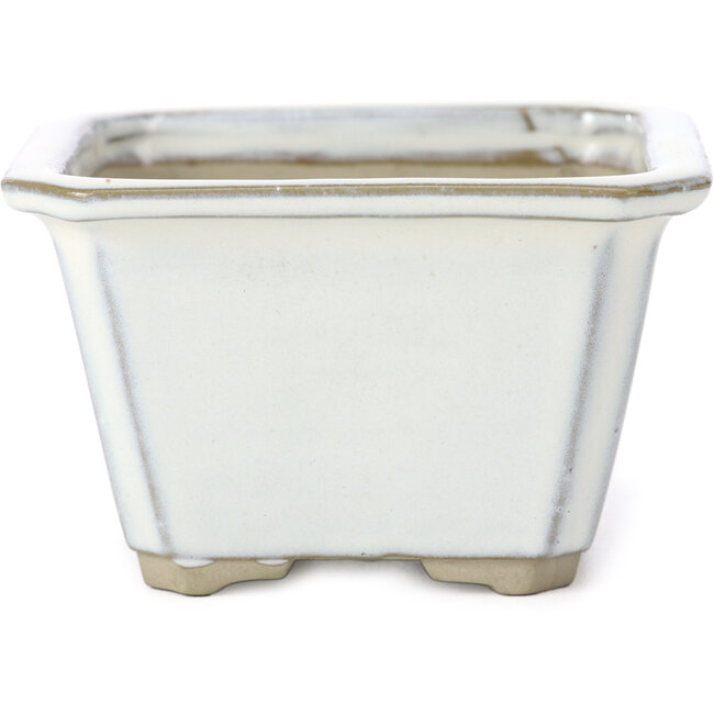 Square white bonsai pot by Tosui - 110 x 110 x 70 mm
