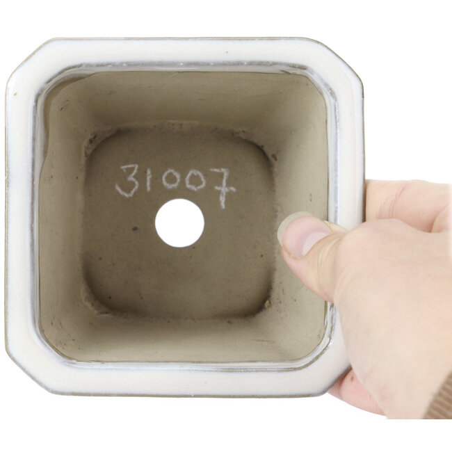 Pot à bonsaï carré blanc par Tosui - 110 x 110 x 70 mm