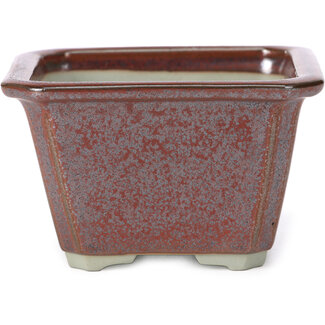  Tosui Pot à bonsaï carré rouge brun 110 mm par Tosui, Japon