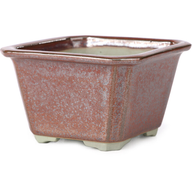 Vaso bonsai quadrato rosso marrone di Tosui - 110 x 110 x 70 mm
