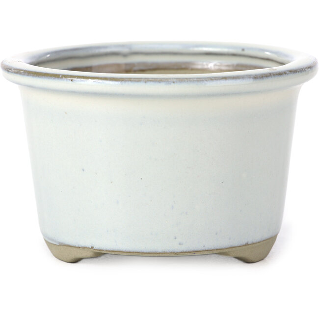 Maceta de bonsái redonda blanca de Tosui - 113 x 113 x 72 mm