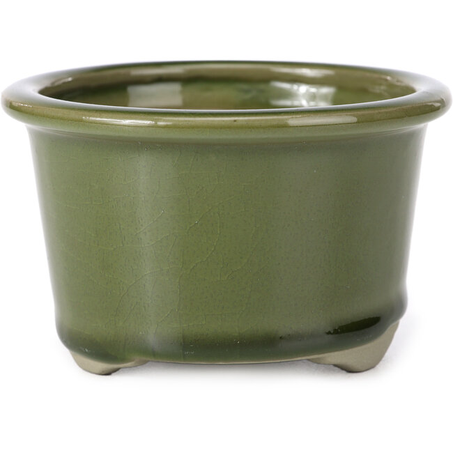 Pot à bonsaï rond vert par Tosui - 113 x 113 x 72 mm