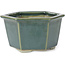 Vaso bonsai esagonale verde oceano di Tosui - 125 x 106 x 68 mm