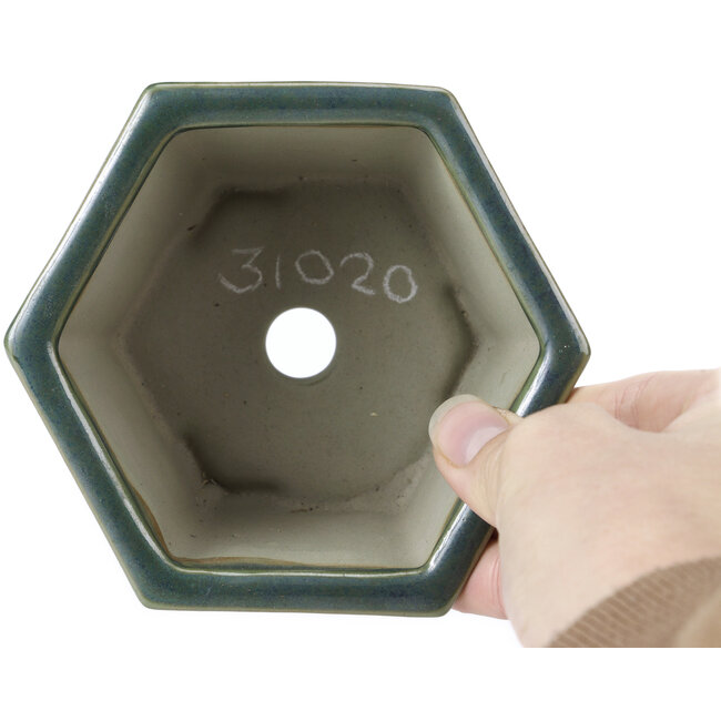 Vaso bonsai esagonale verde oceano di Tosui - 125 x 106 x 68 mm