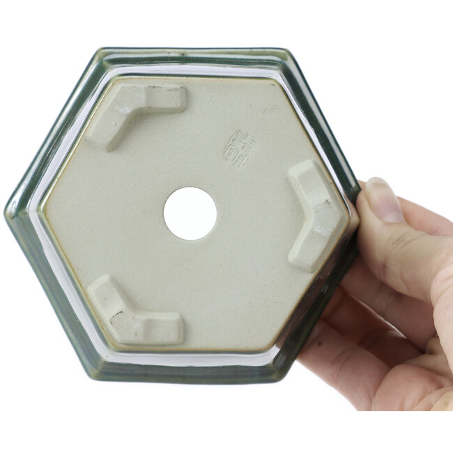 Zeshoekige oceaangroene bonsaipot van Tosui - 125 x 106 x 68 mm