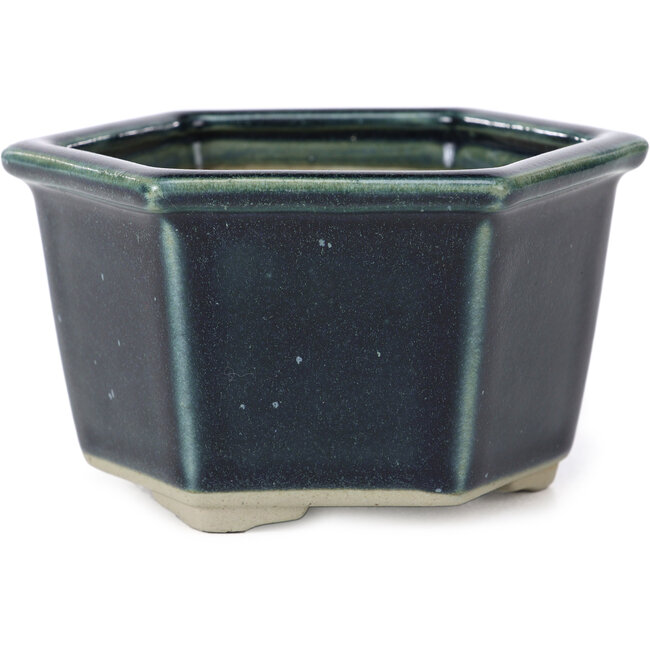 Sechseckige blaue Bonsaischale von Tosui - 125 x 106 x 68 mm